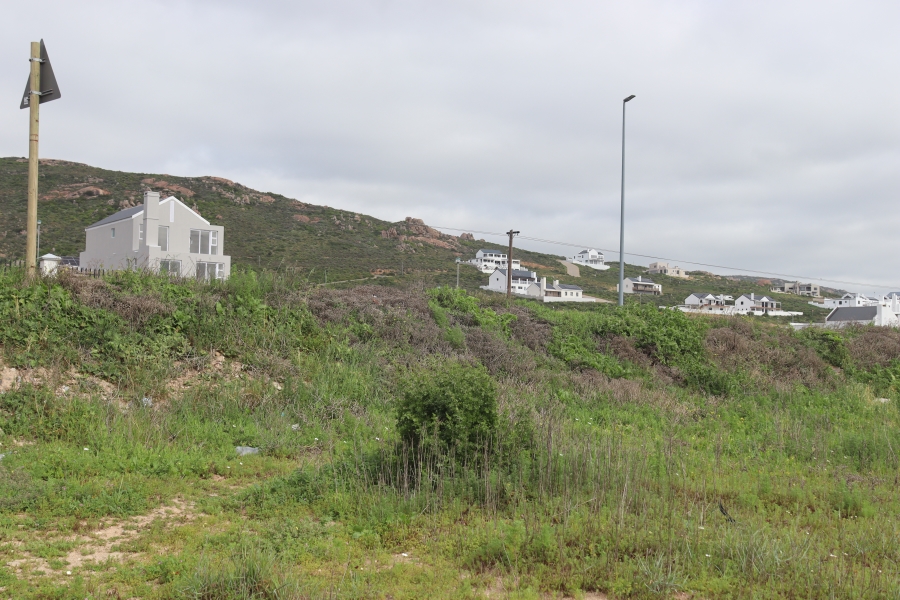 0 Bedroom Property for Sale in Steenbergs Cove Western Cape